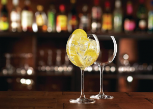 24OZ Copa Gin Glasses